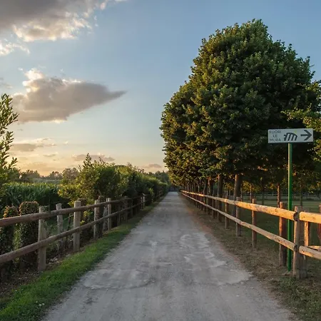 Fuori Le Mura Bed & Breakfast
