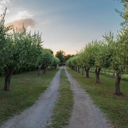 Fuori Le Mura Bed & Breakfast *
