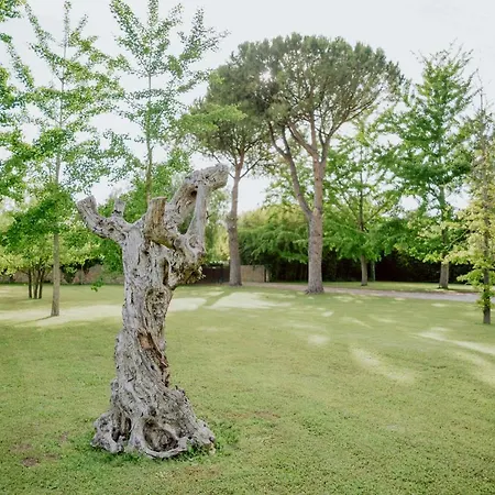 Fuori Le Mura